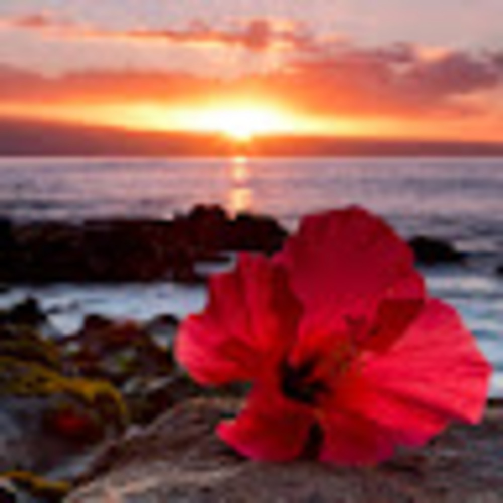 Meet your Posher, Carris